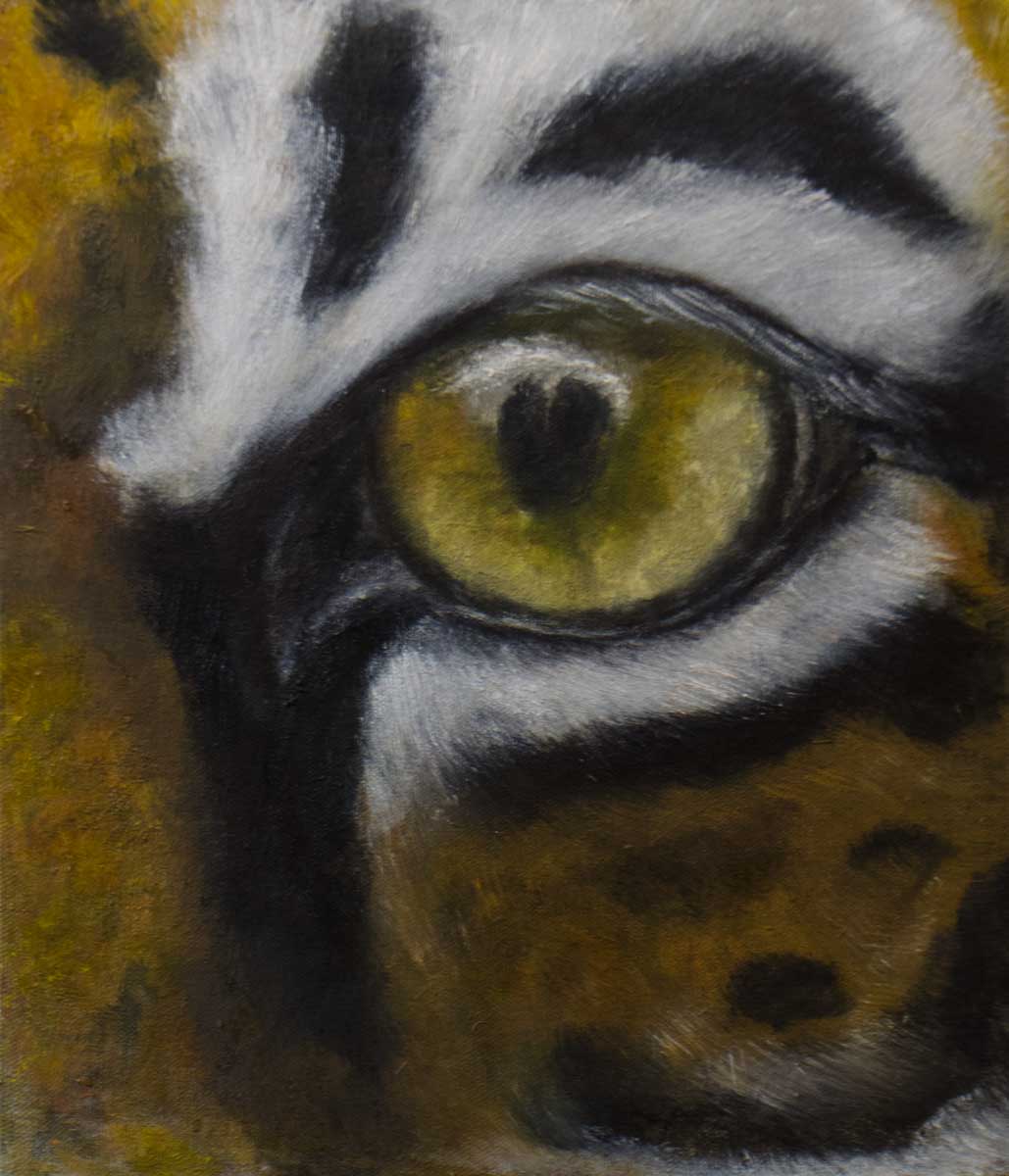 tiger eye oil painting close up wildlife art on canvas panel