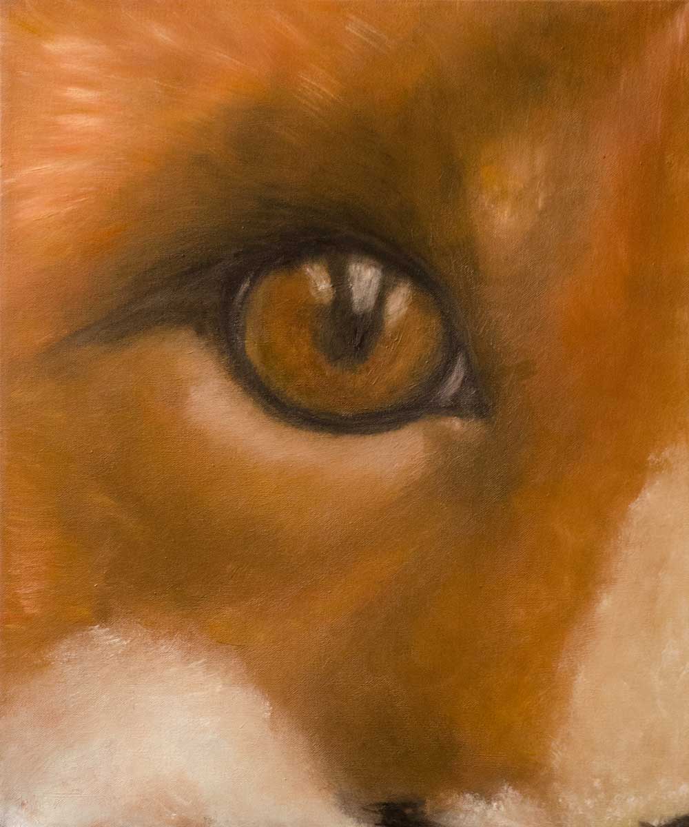 fox eye oil painting close up wildlife art on canvas