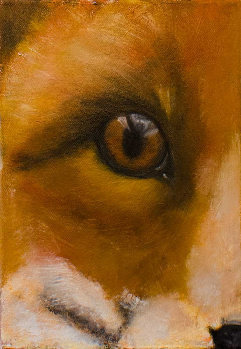 Fox eye oil painting on linen canvas, detailed wildlife animal eye artwork