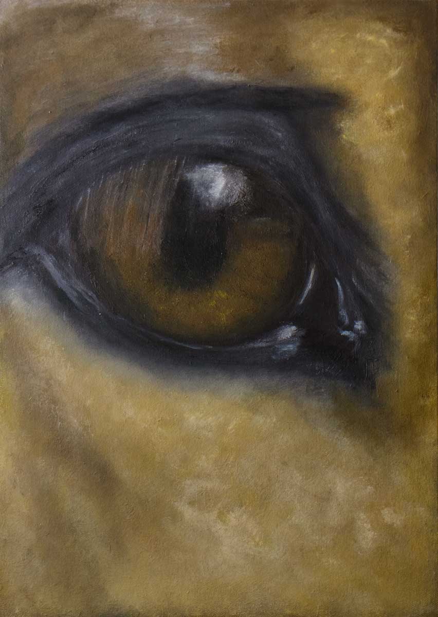 horse eye oil painting close up animal eye art on canvas panel